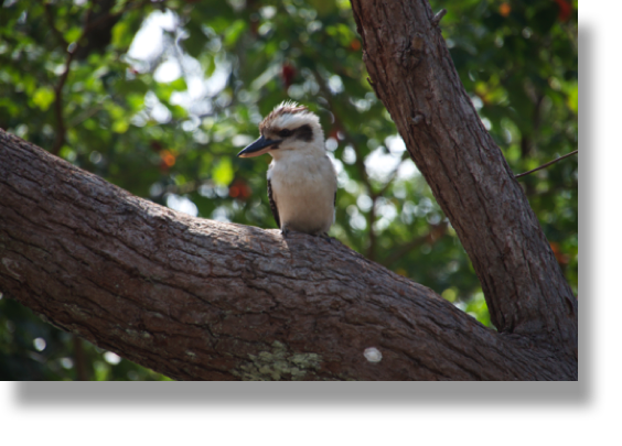 Australia Australia